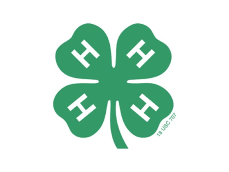 Logo for 2026 Calhoun County 4-H Fair